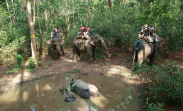 Kathmandu Chitwan Tour